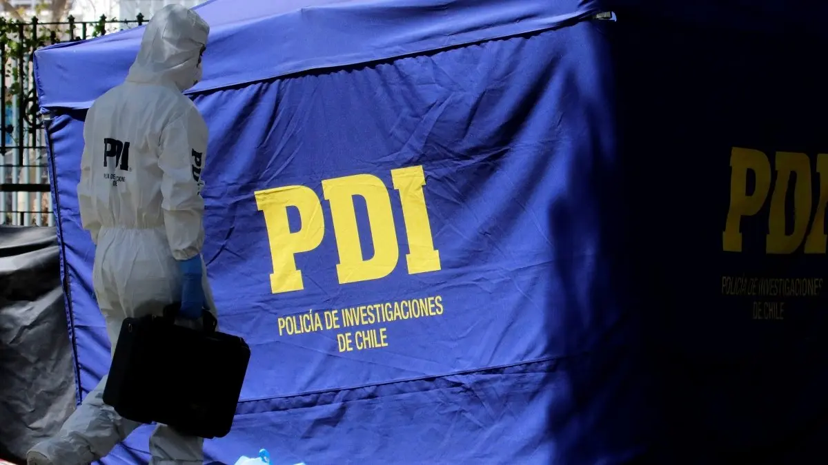 Imagen del artículo