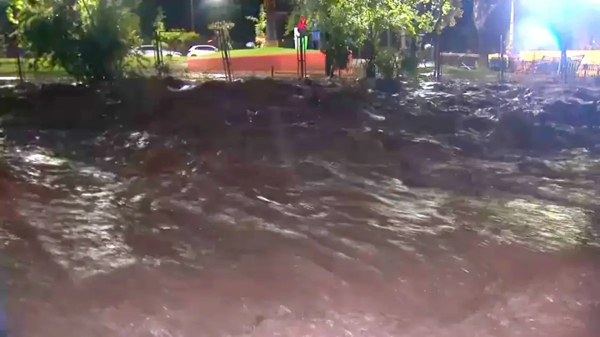 Imagen del artículo