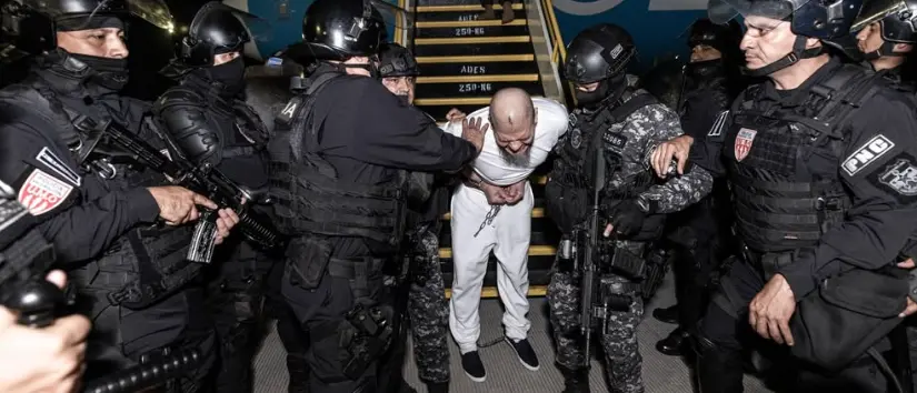 Imagen del artículo