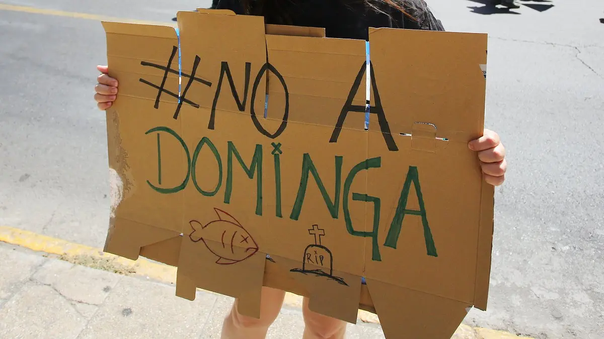 Imagen del artículo