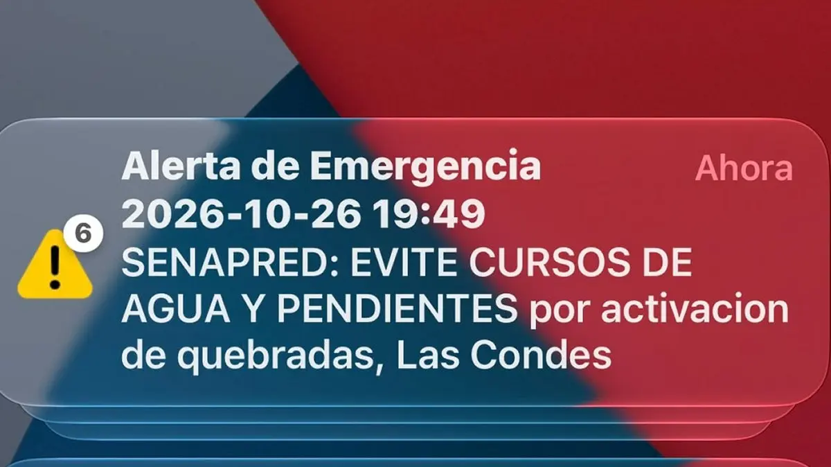 Imagen del artículo