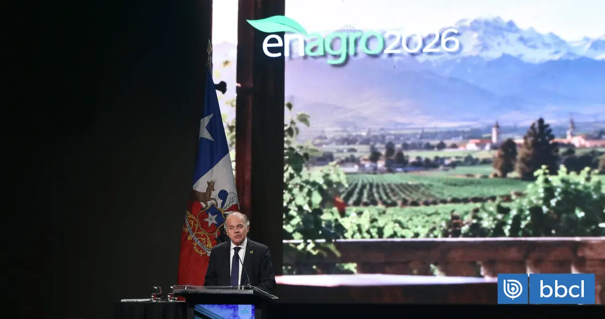 Imagen del artículo