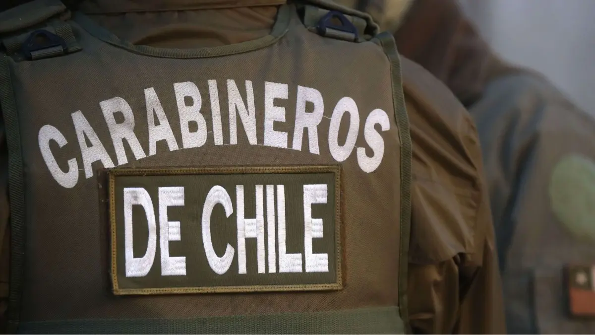 Imagen del artículo