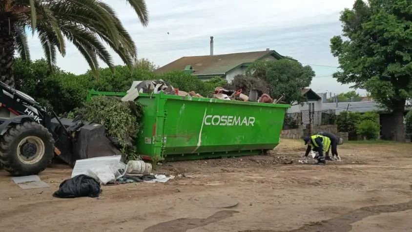Imagen del artículo