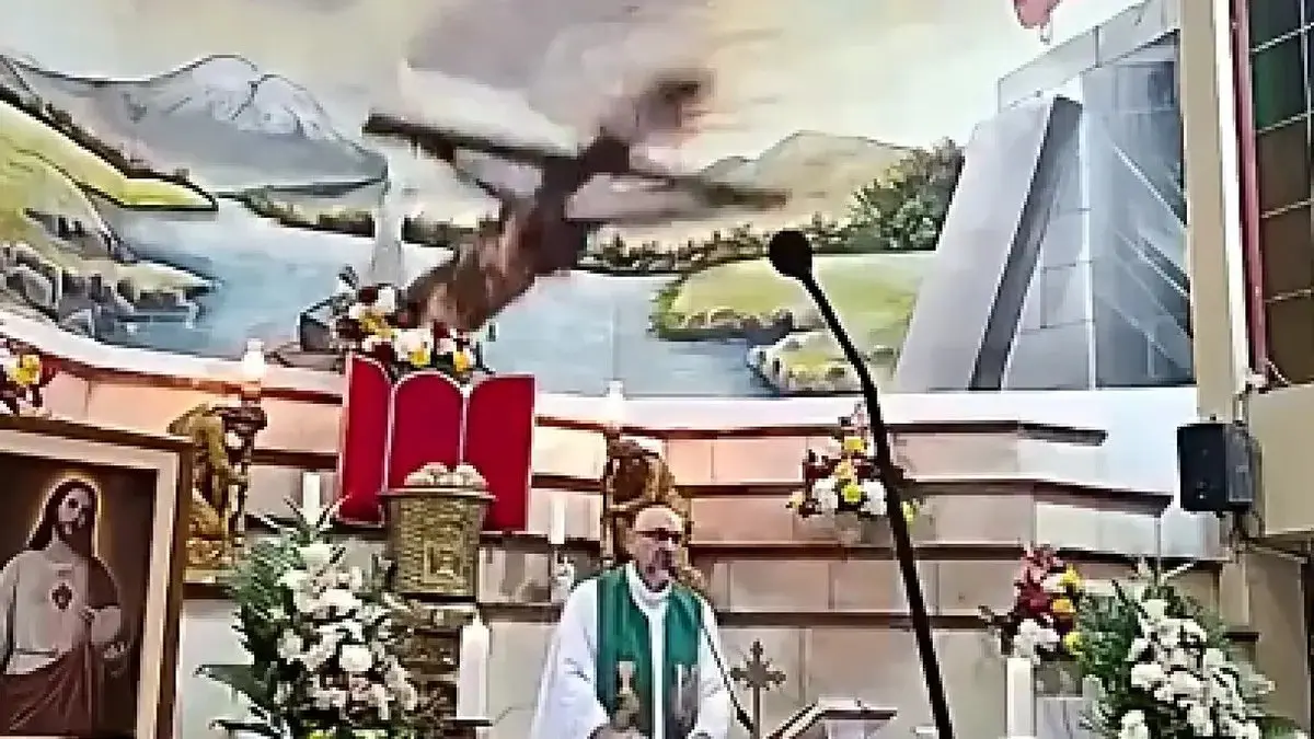 Imagen del artículo