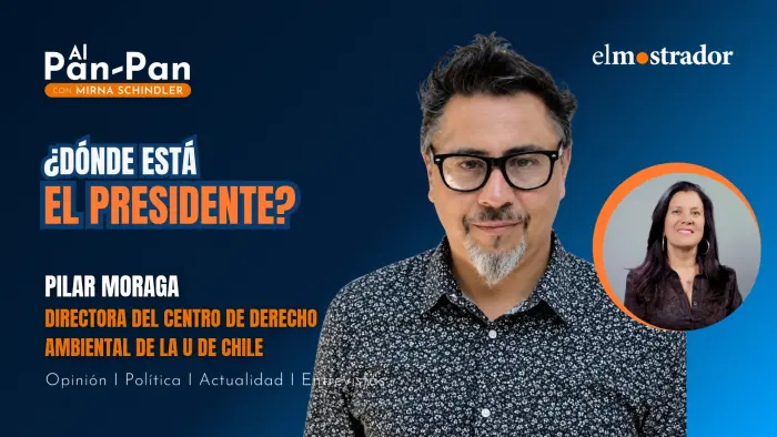 Imagen del artículo