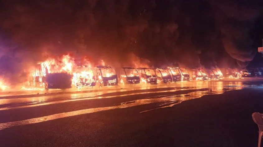 Imagen del artículo