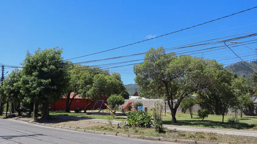 Imagen del artículo