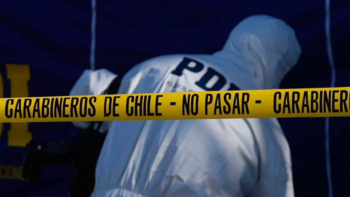 Imagen del artículo