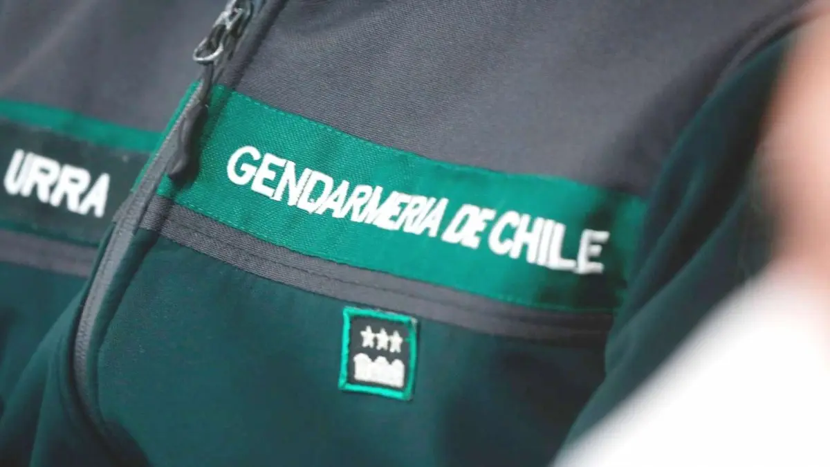 Imagen del artículo