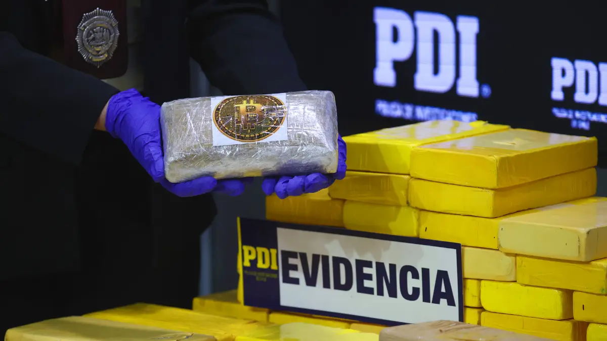 Imagen del artículo
