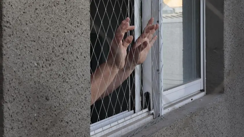 Imagen del artículo