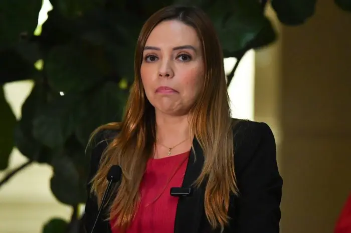 Imagen del artículo