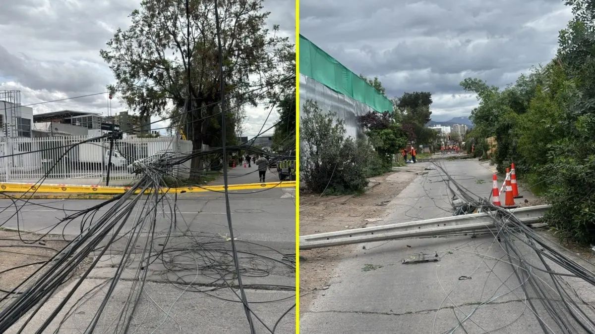 Imagen del artículo