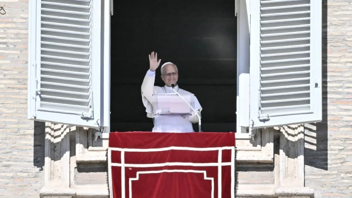 Imagen del artículo