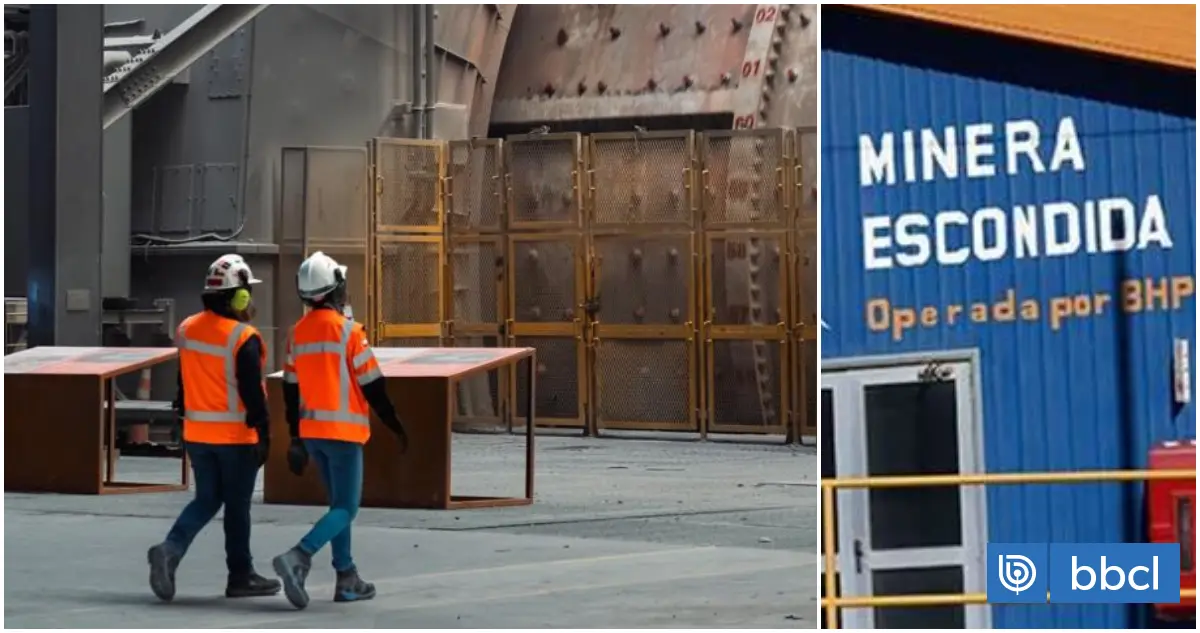 Imagen del artículo