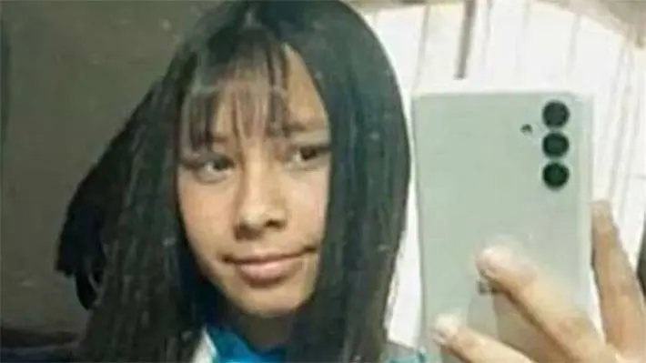 Imagen del artículo