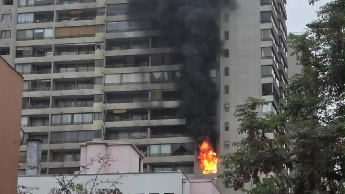 Imagen del artículo