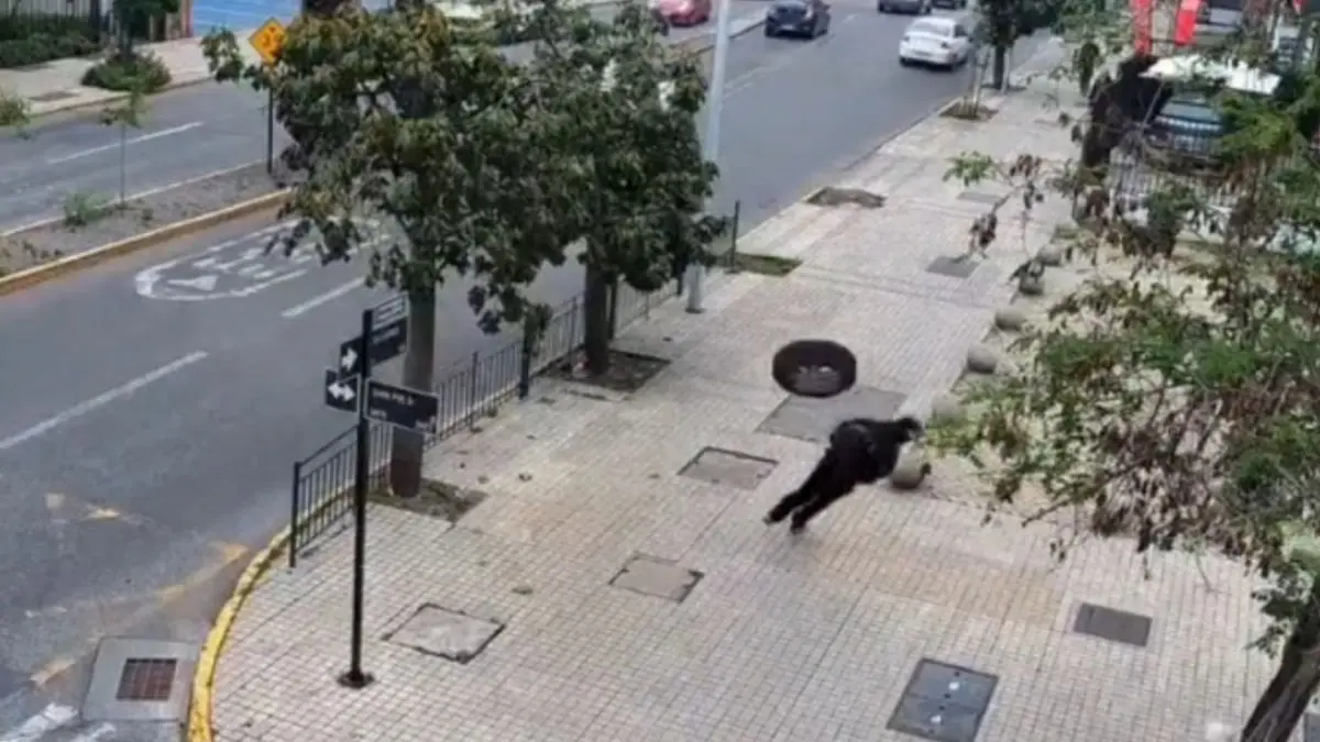 Imagen del artículo