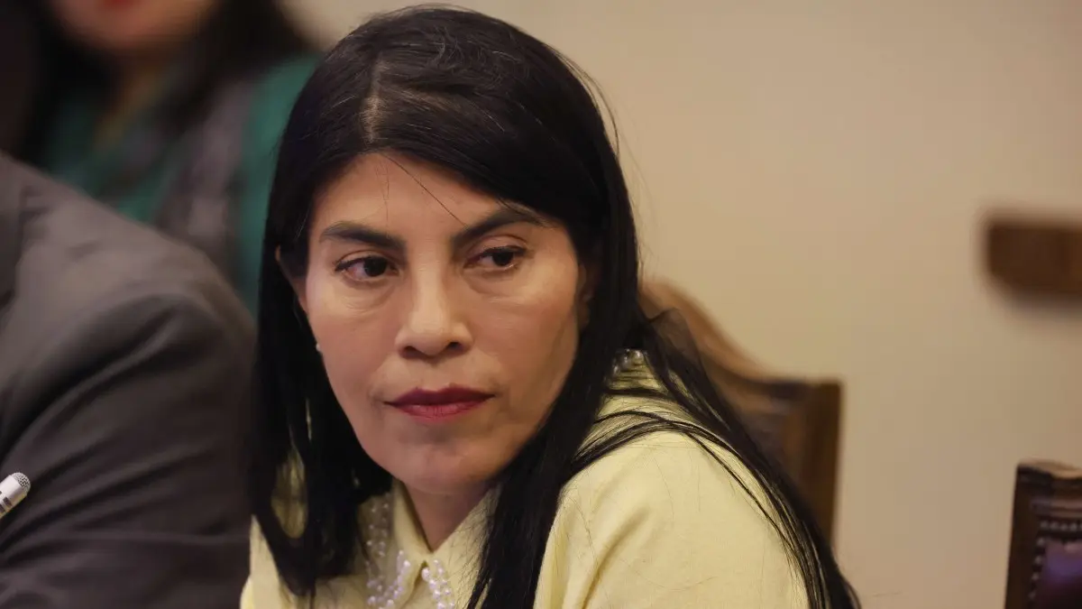 Imagen del artículo