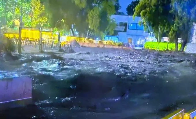 Imagen del artículo