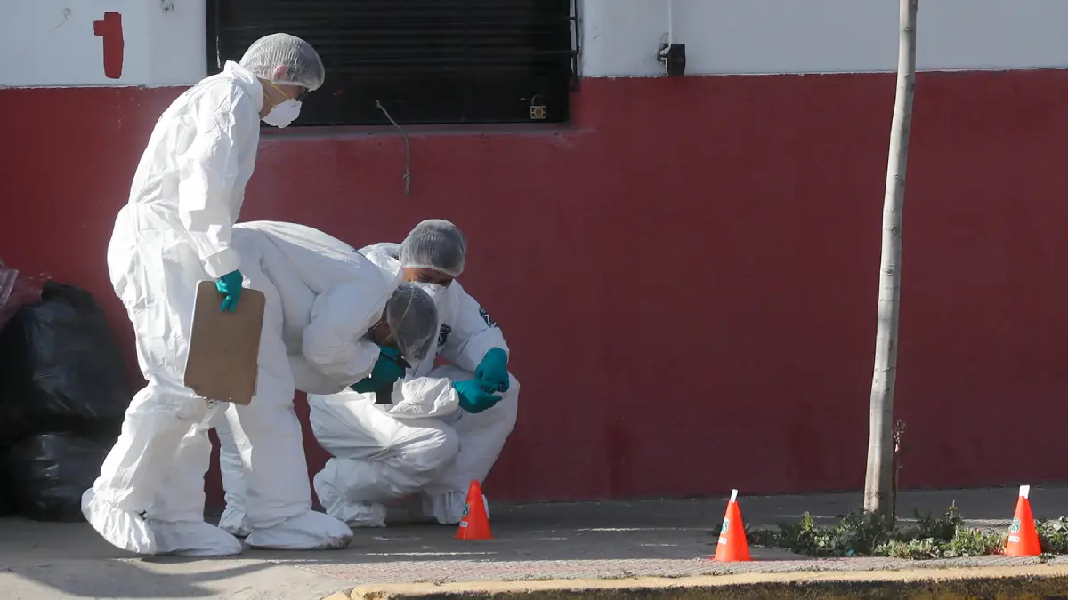 Imagen del artículo