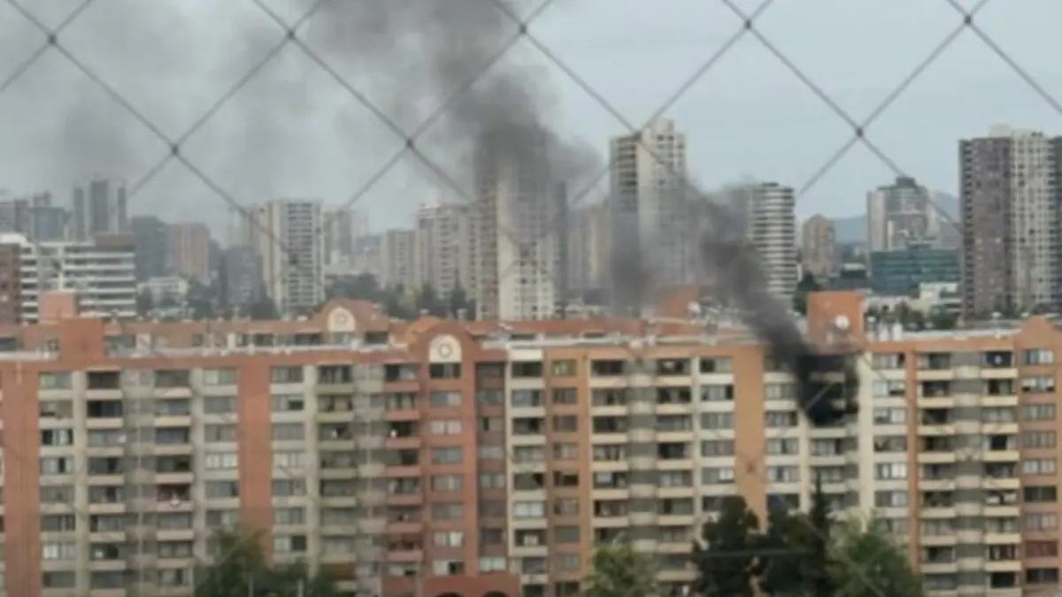 Imagen del artículo