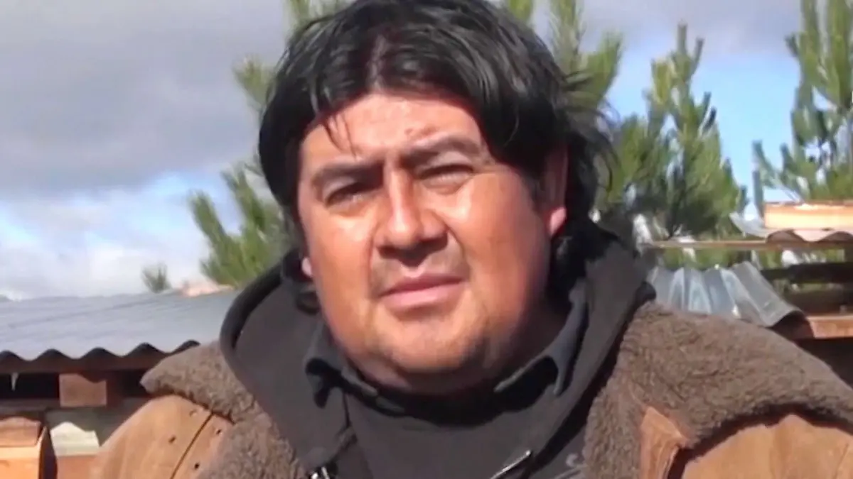 Imagen del artículo