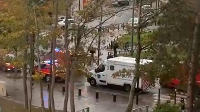 Imagen del artículo