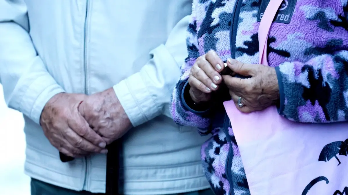 Imagen del artículo