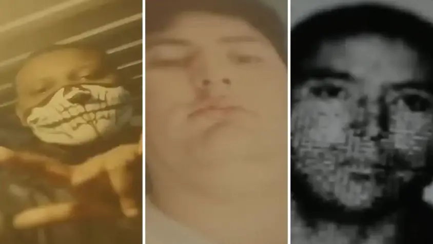 Imagen del artículo