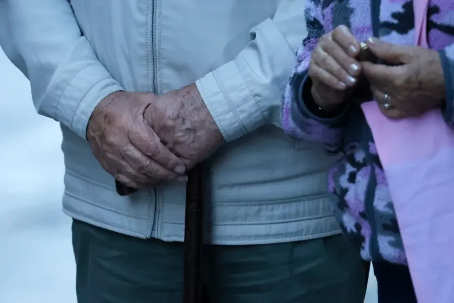 Imagen del artículo