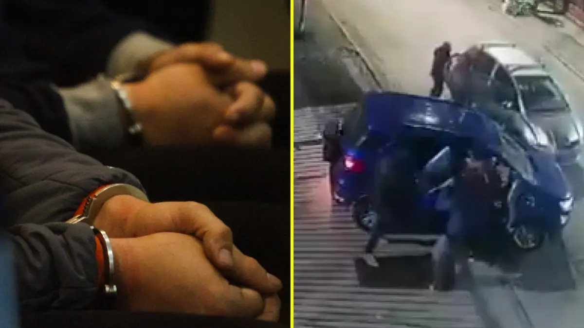Imagen del artículo