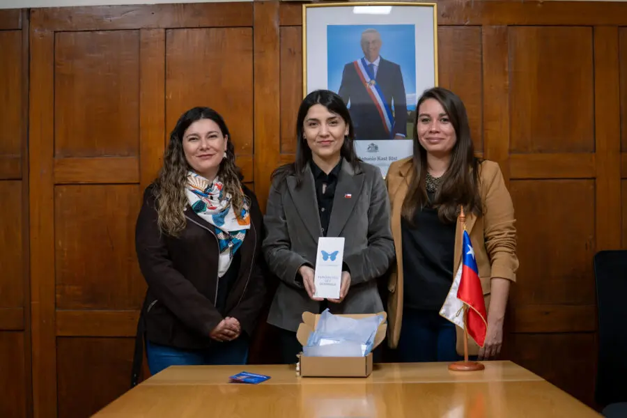 Imagen del artículo
