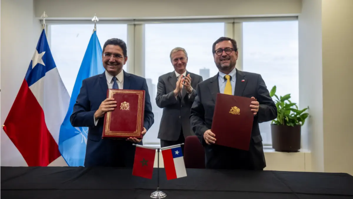 Imagen del artículo