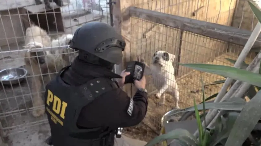 Imagen del artículo