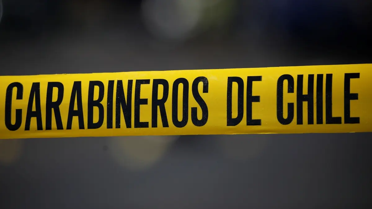 Imagen del artículo