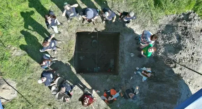Imagen del artículo