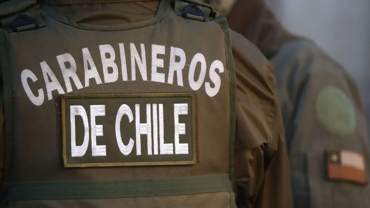 Imagen del artículo