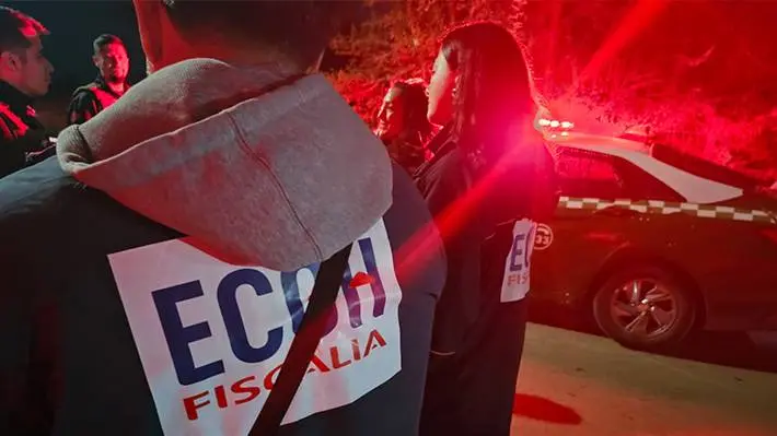 Imagen del artículo