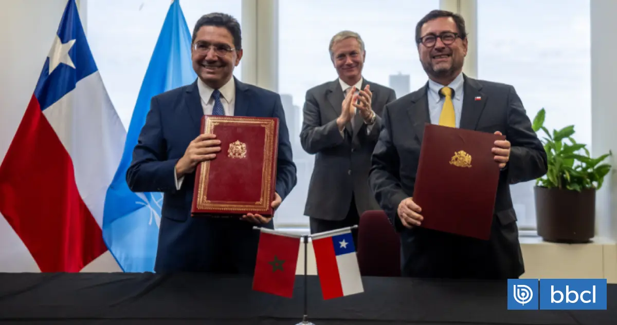 Imagen del artículo