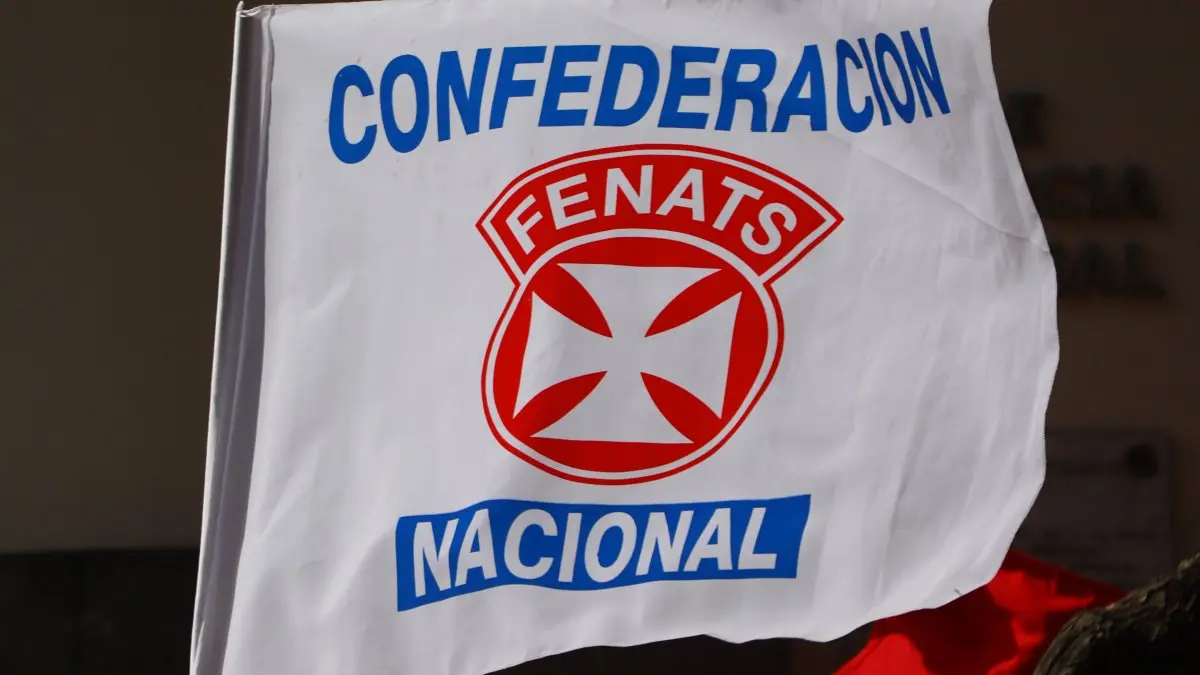 Imagen del artículo