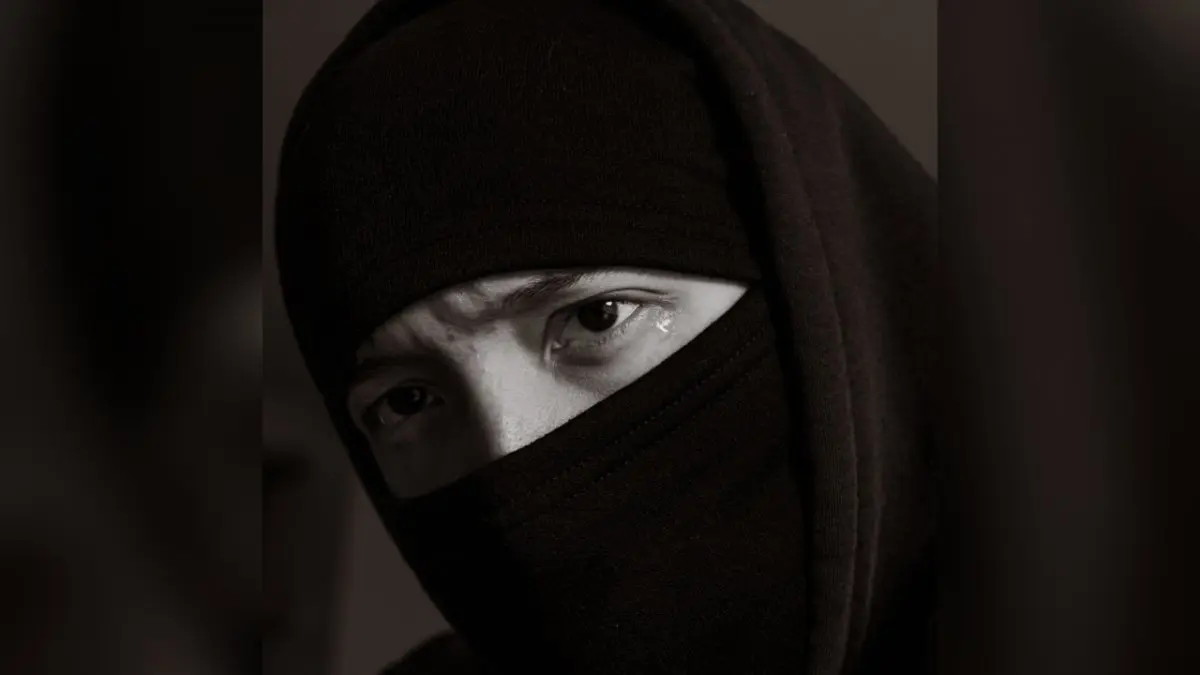 Imagen del artículo