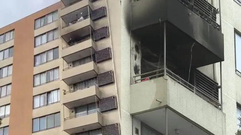 Imagen del artículo