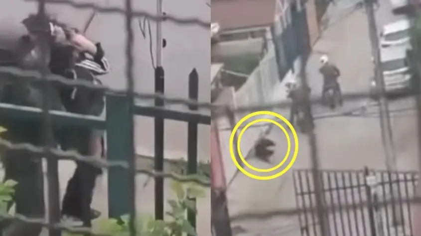 Imagen del artículo