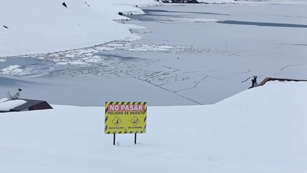 Imagen del artículo