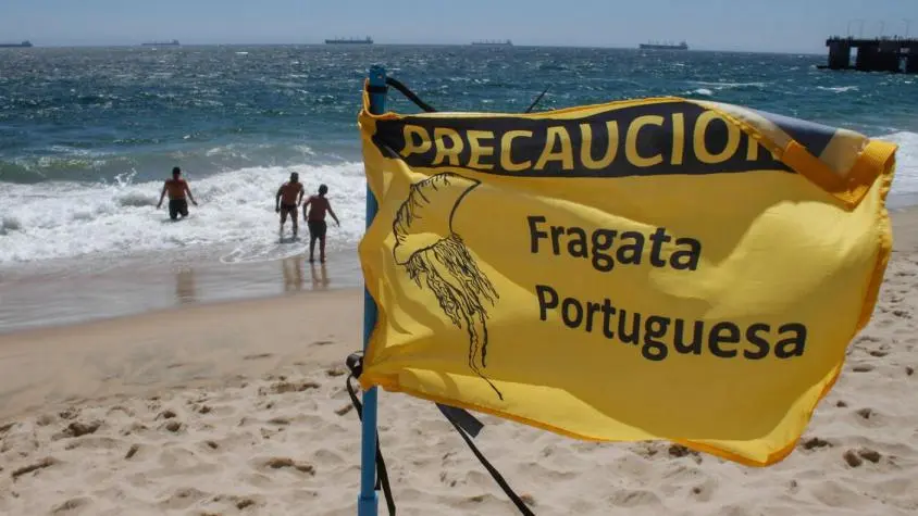 Imagen del artículo